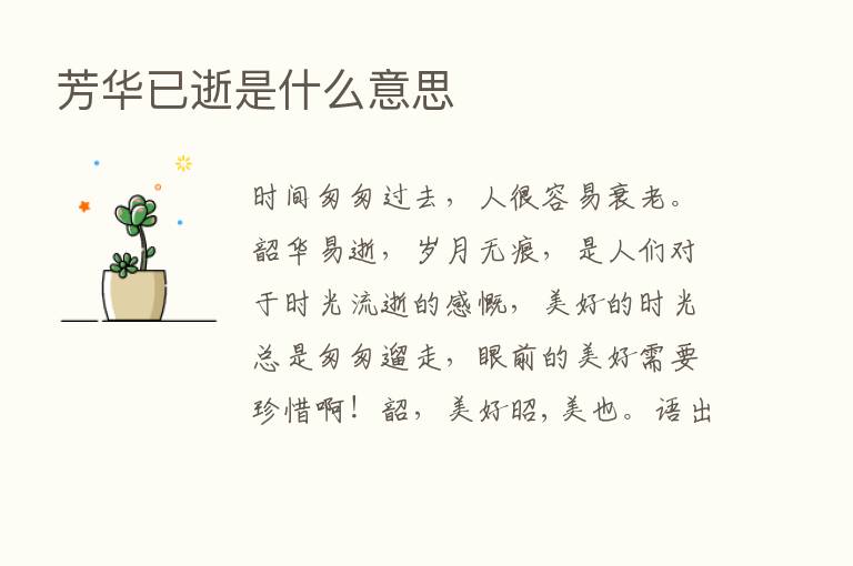 芳华已逝是什么意思