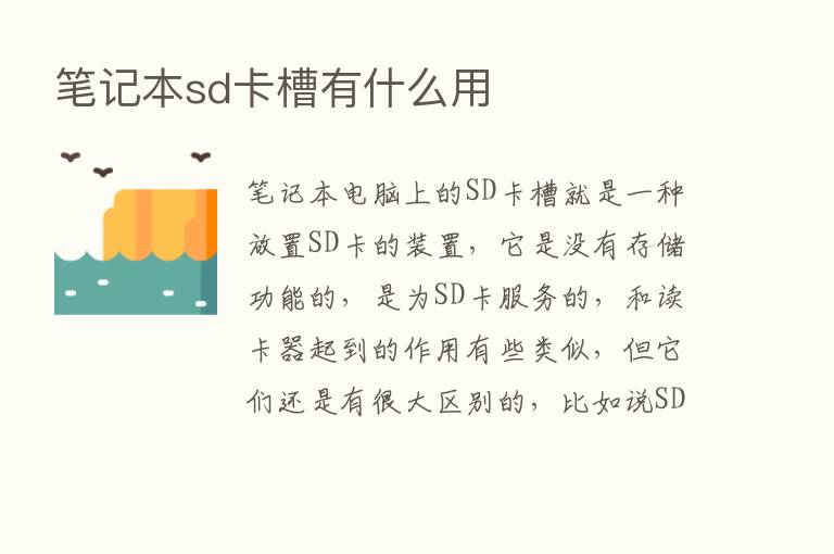 笔记本sd卡槽有什么用