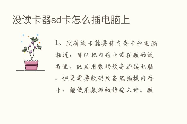 没读卡器sd卡怎么插电脑上