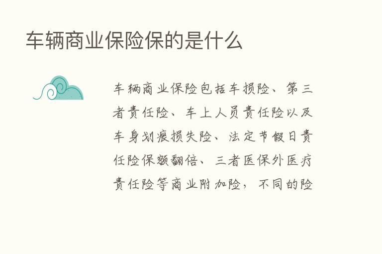 车辆商业      保的是什么