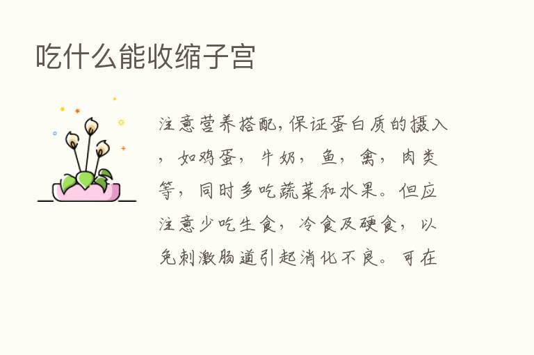 吃什么能收缩子宫