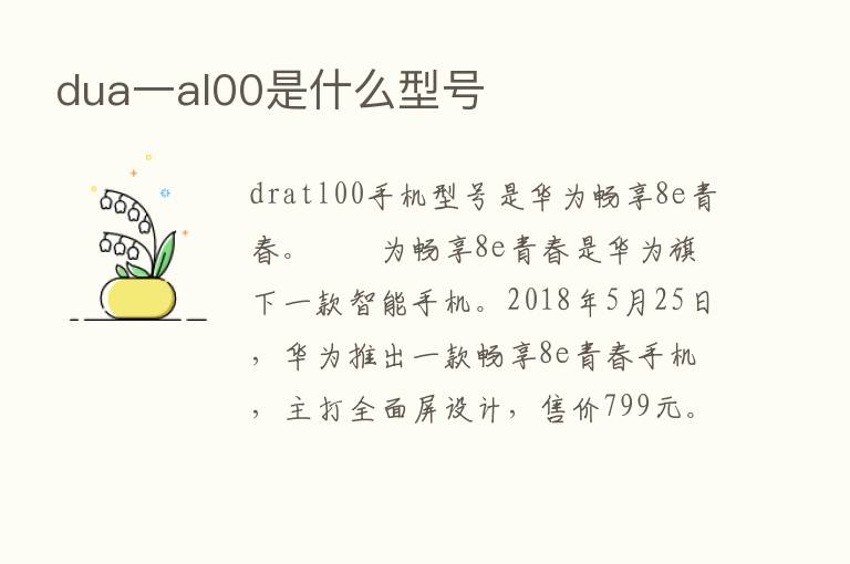 dua一al00是什么型号