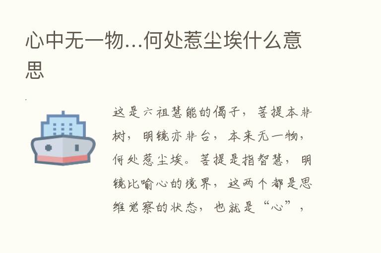 心中无一物…何处惹尘埃什么意思