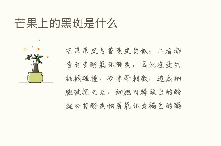 芒果上的黑斑是什么