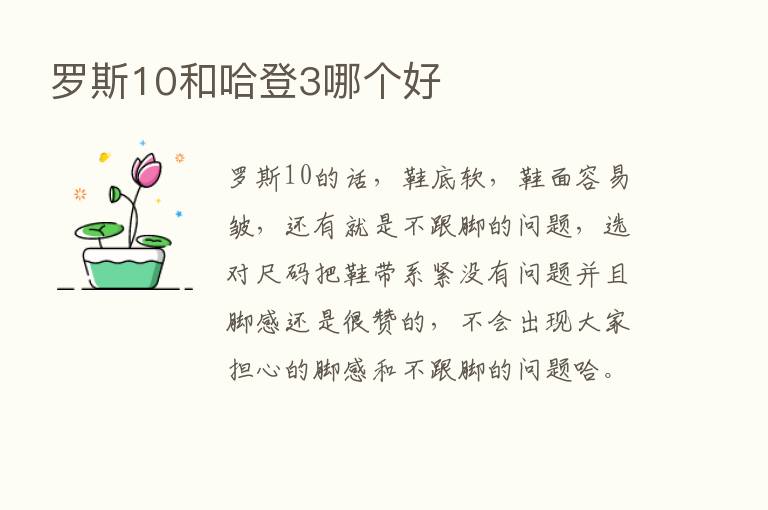 罗斯10和哈登3哪个好