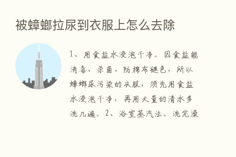 被蟑螂拉尿到衣服上怎么去除