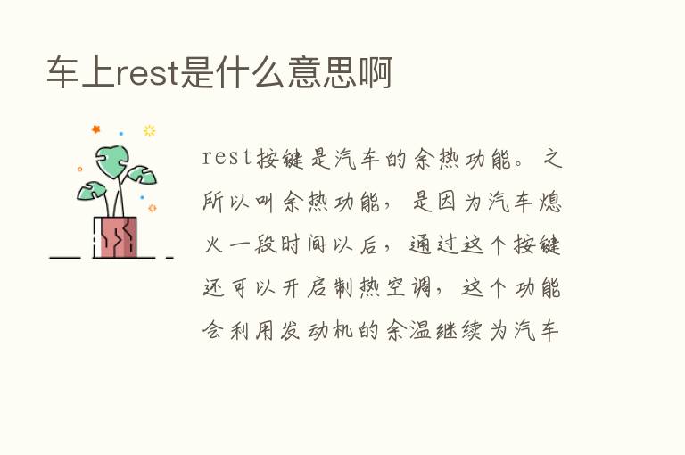 车上rest是什么意思啊