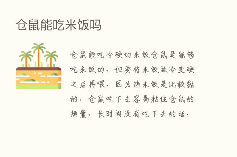 仓鼠能吃米饭吗