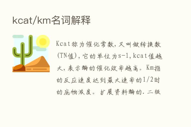 kcat/km名词解释