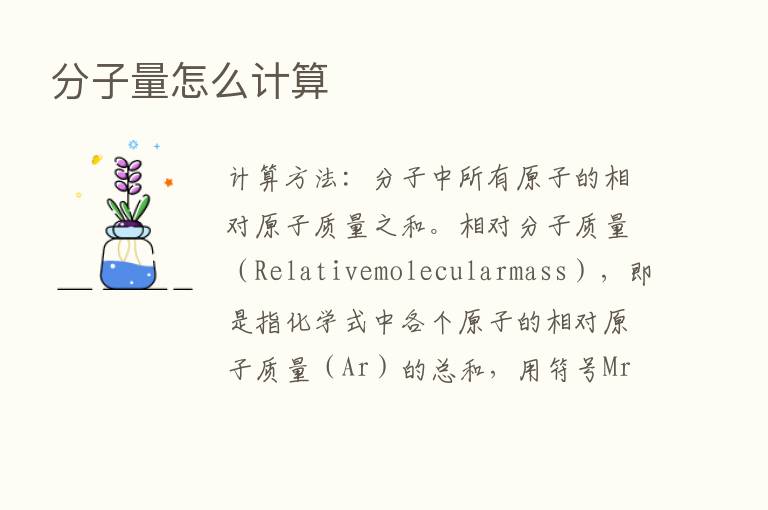 分子量怎么计算