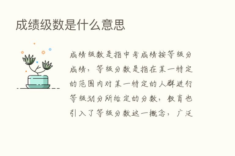 成绩级数是什么意思