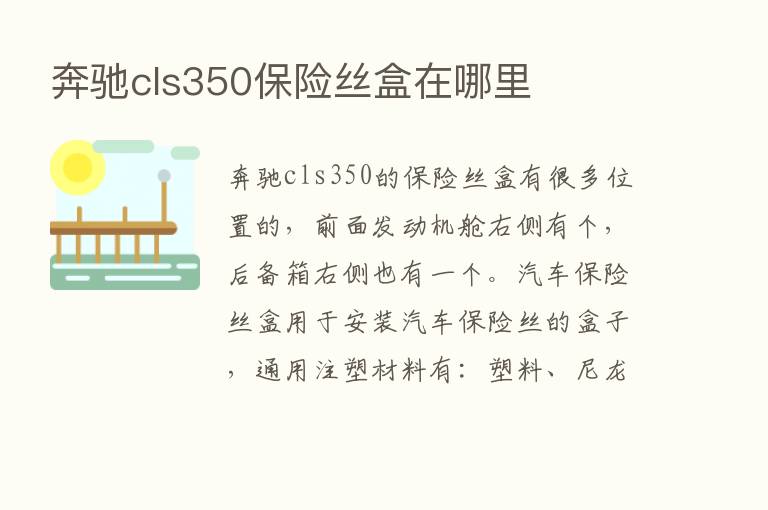 奔驰cls350      丝盒在哪里