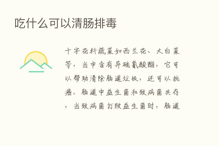 吃什么可以清肠排毒