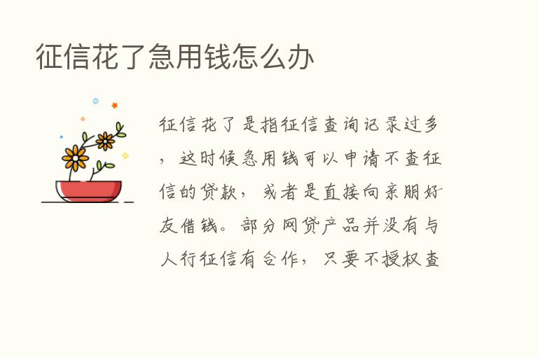 征信花了急用前怎么办