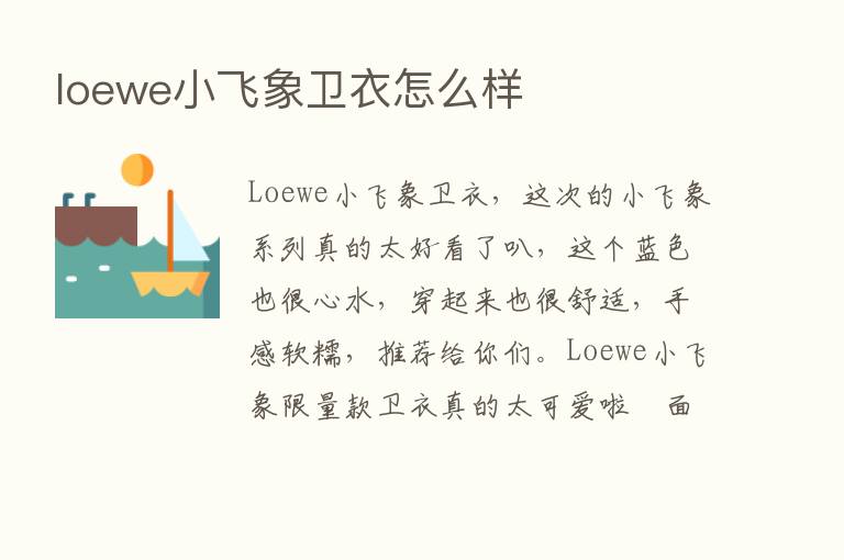 loewe小飞象卫衣怎么样