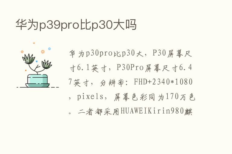 华为p39pro比p30大吗