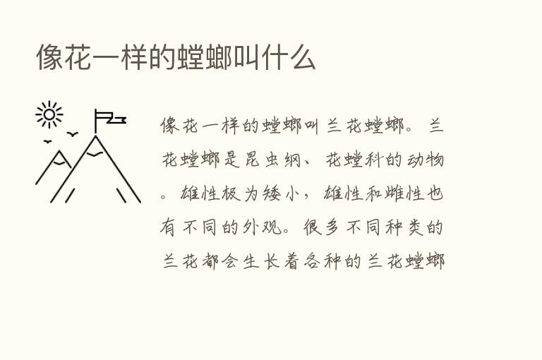 像花一样的螳螂叫什么