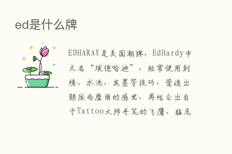 ed是什么牌