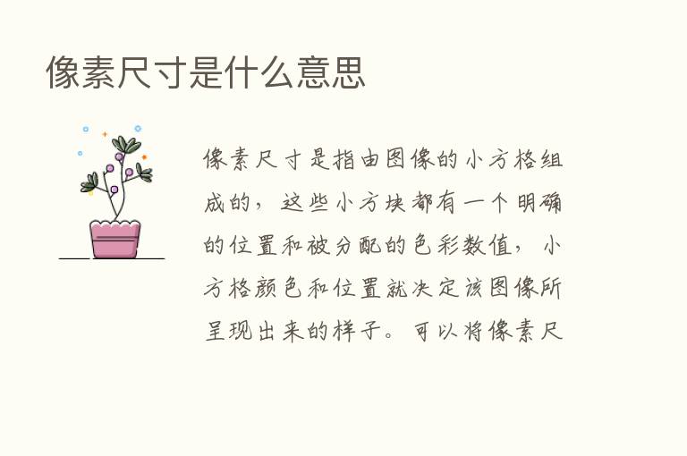 像素尺寸是什么意思