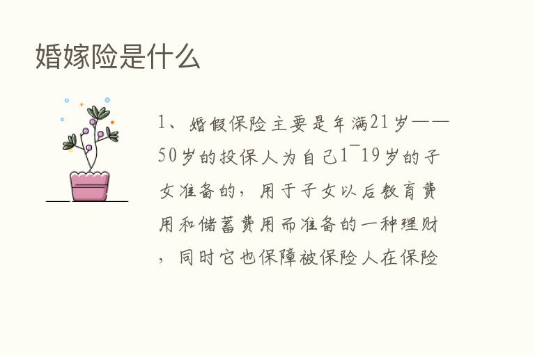 婚嫁险是什么