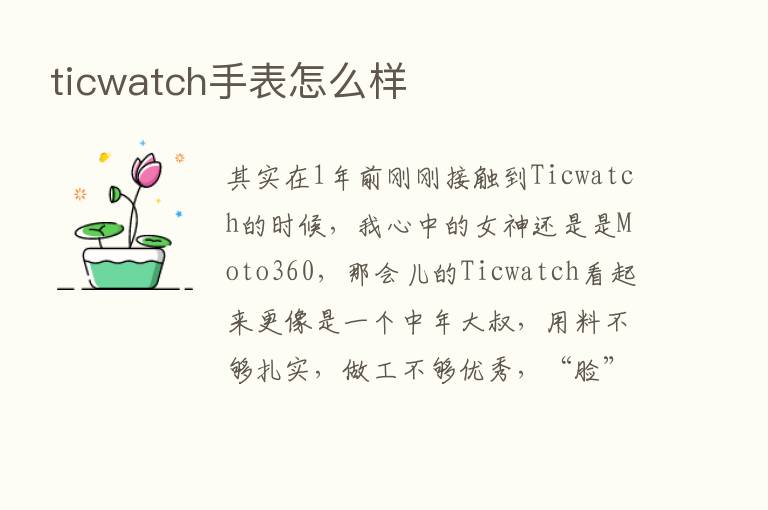 ticwatch手表怎么样