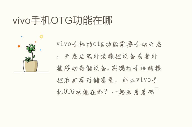 vivo手机OTG功能在哪