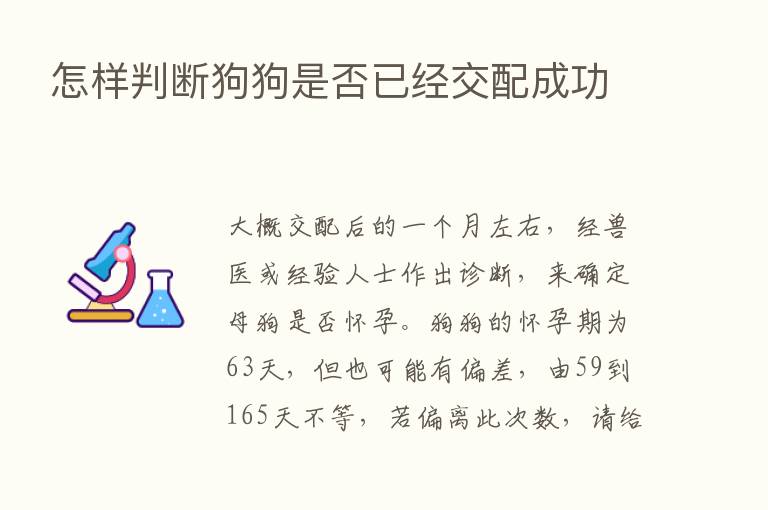 怎样判断狗狗是否已经交配成功