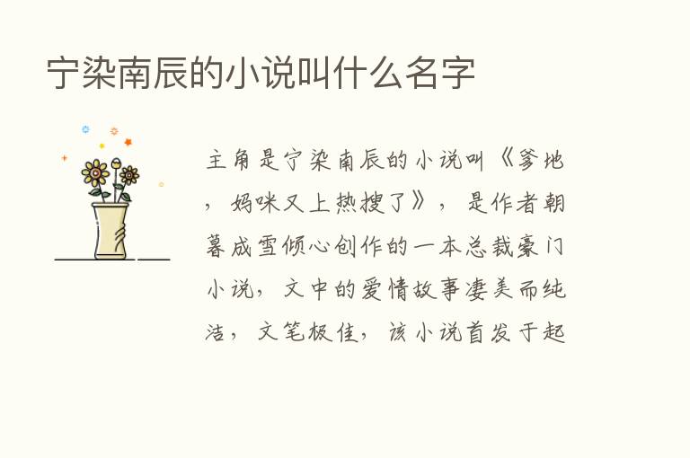 宁染南辰的小说叫什么名字