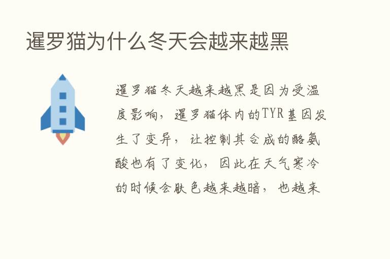 暹罗猫为什么冬天会越来越黑