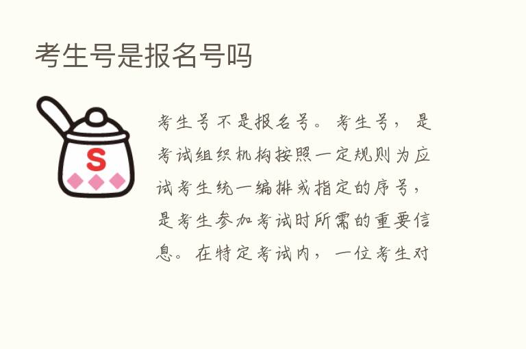 考生号是报名号吗