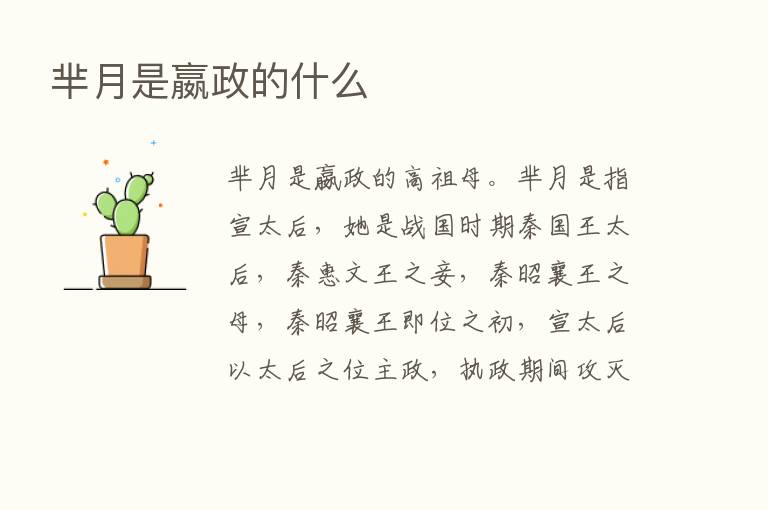 芈月是嬴政的什么