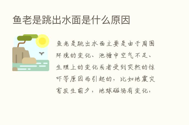 鱼老是跳出水面是什么原因