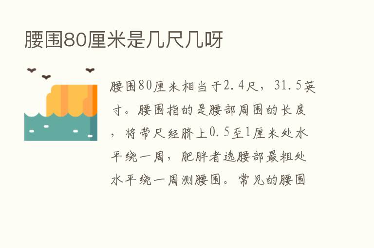 腰围80厘米是几尺几呀