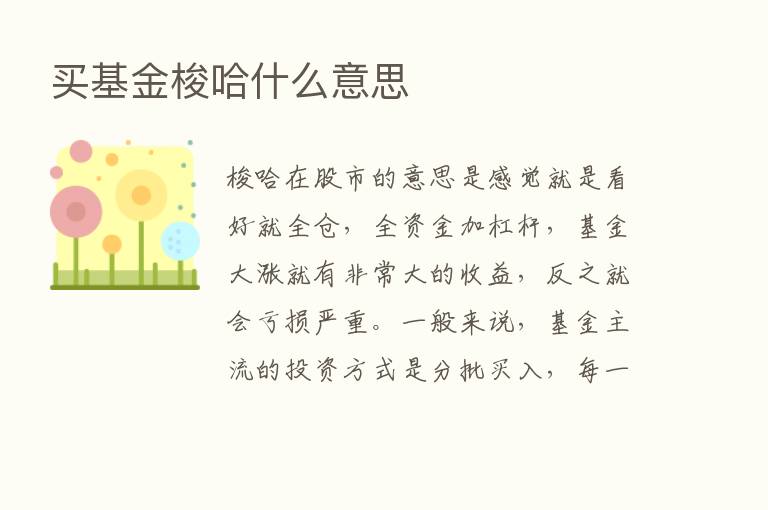 买基金梭哈什么意思