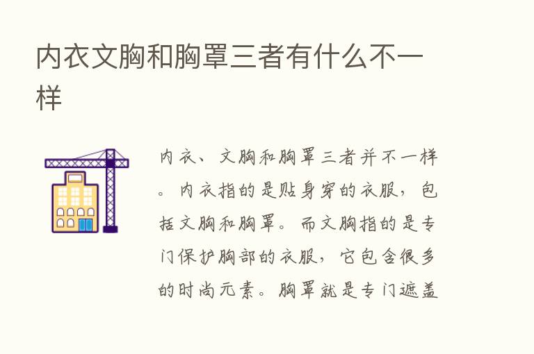 内衣文胸和胸罩三者有什么不一样