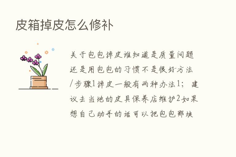 皮箱掉皮怎么修补