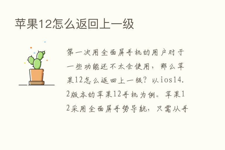 苹果12怎么返回上一级