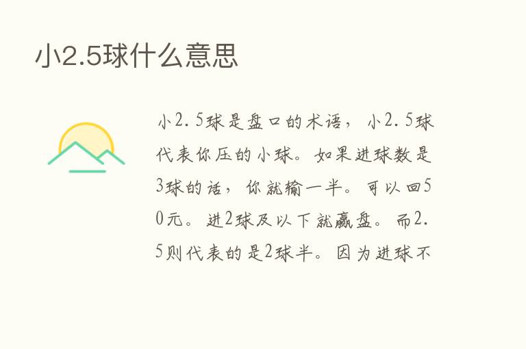 小2.5球什么意思