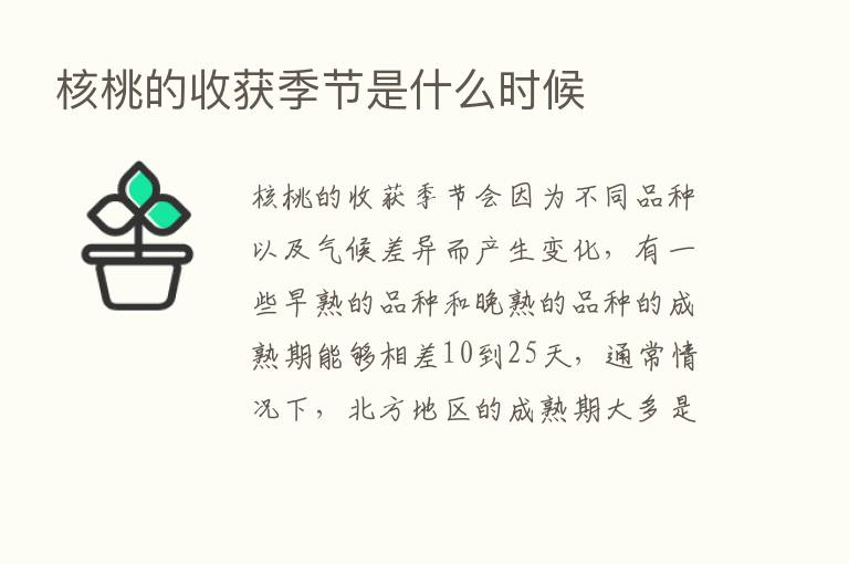 核桃的收获季节是什么时候