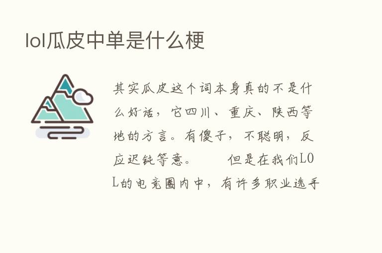 lol瓜皮中单是什么梗