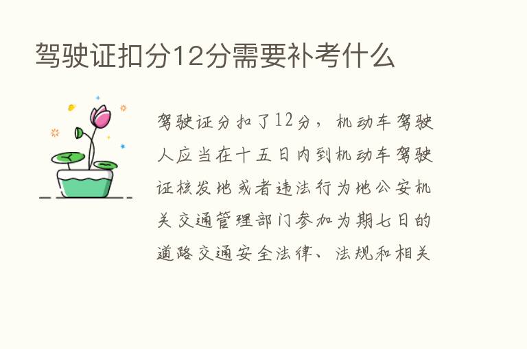 驾驶证扣分12分需要补考什么