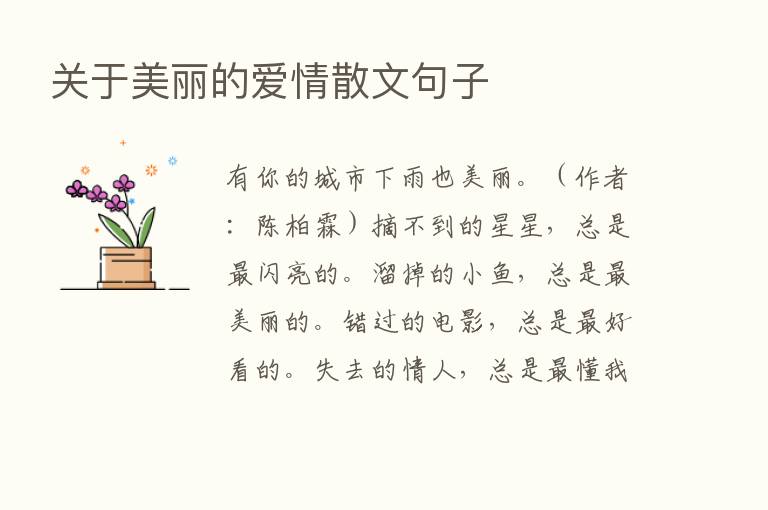 关于美丽的爱情散文句子