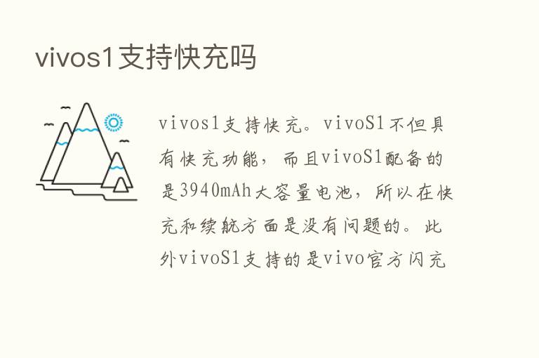 vivos1支持快充吗