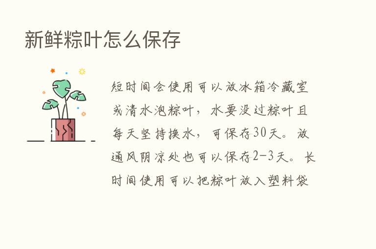 新鲜粽叶怎么保存