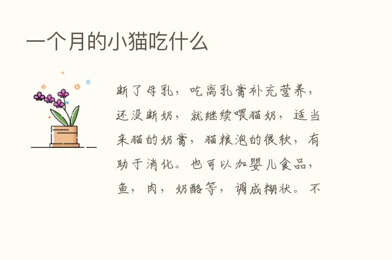 一个月的小猫吃什么