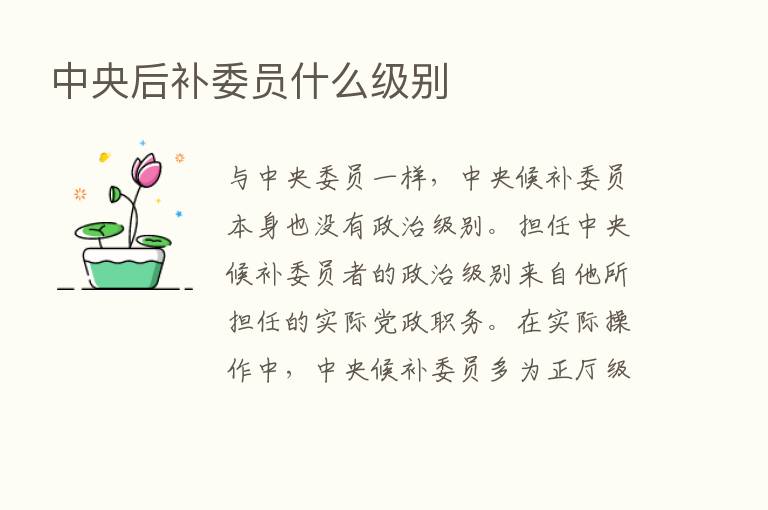 中央后补委员什么级别