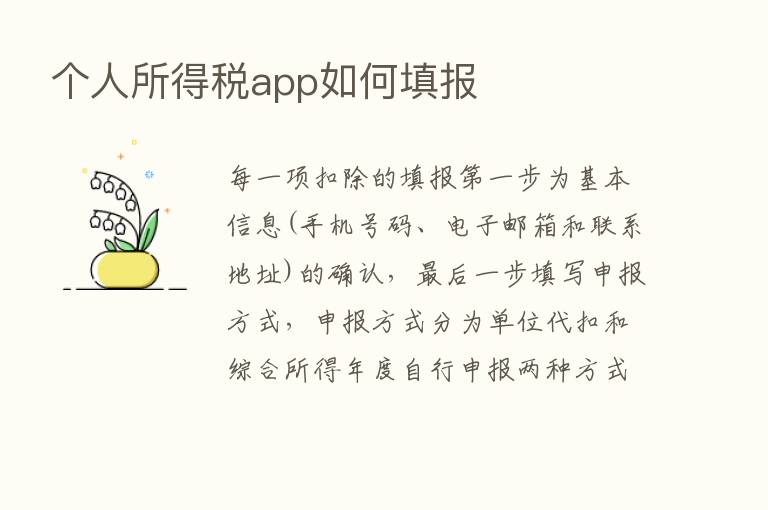 个人所得税app如何填报