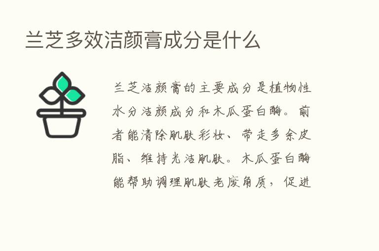 兰芝多效洁颜膏成分是什么