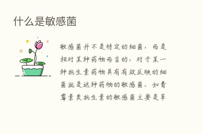 什么是敏感菌