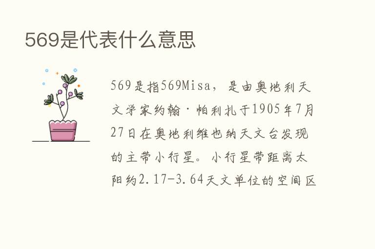 569是代表什么意思